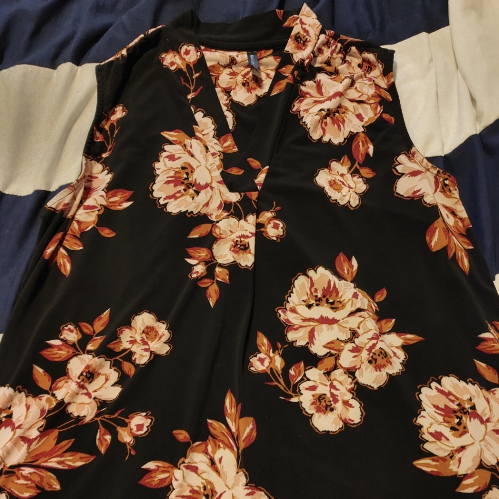 Massini sleeveless top, size 1x